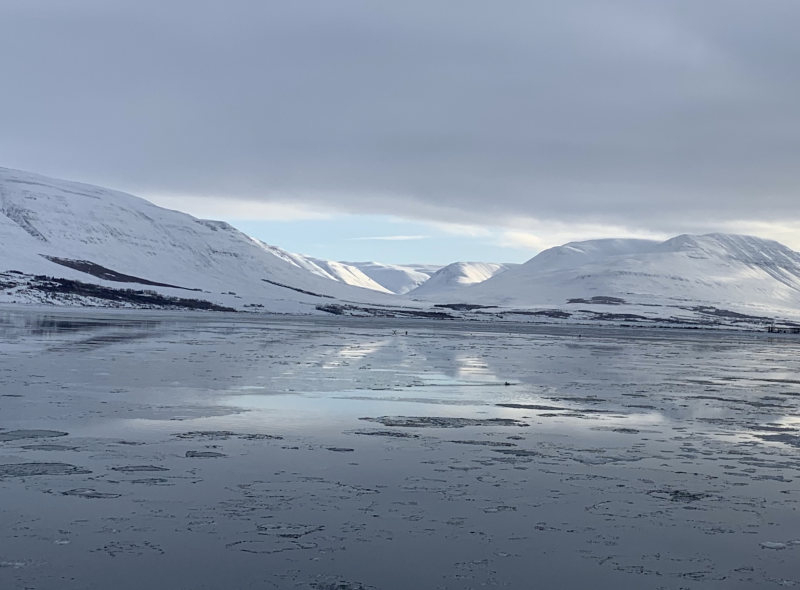 Northbound from Reykjavik to Akureyri