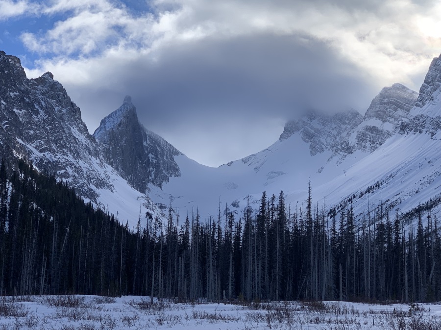 robertson_glacier