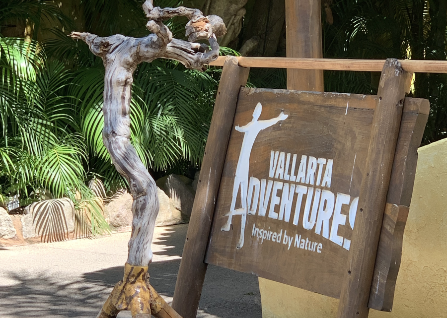 Dolphin & Sea Lion Adventures!