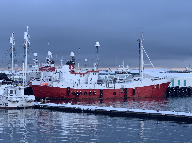 elding_ship