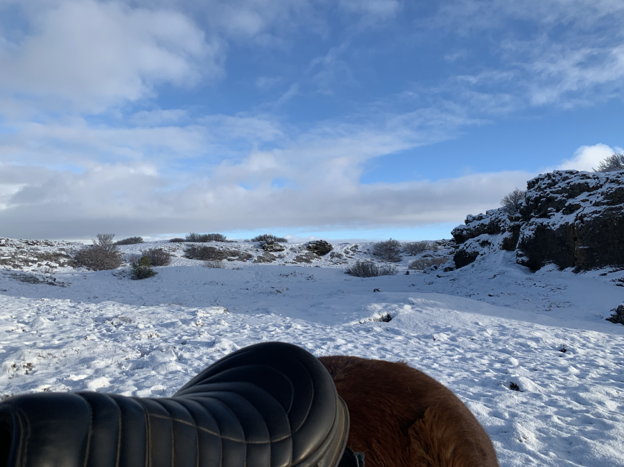 isHestar_horseback2