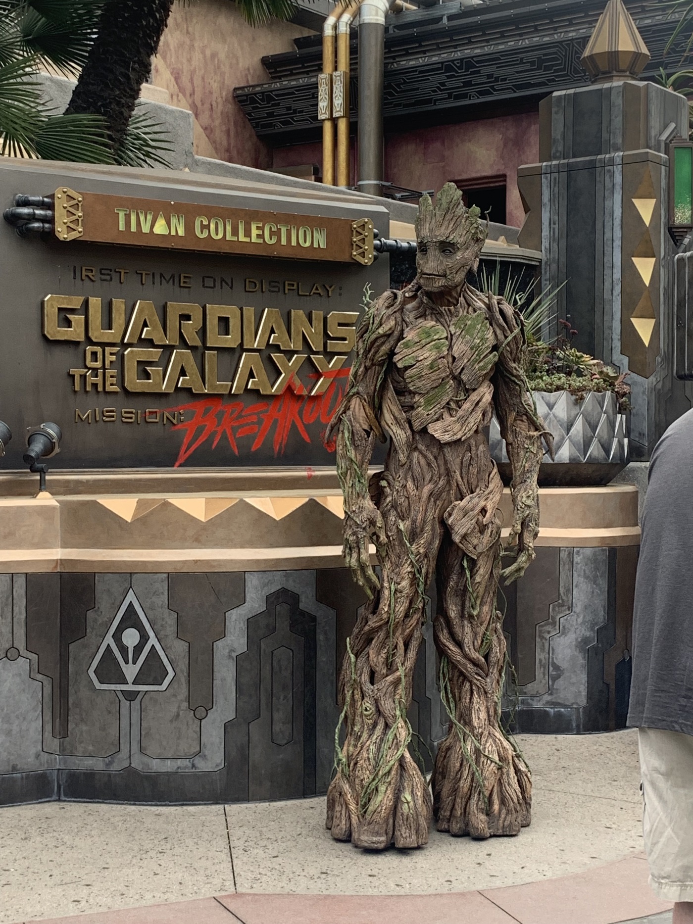 Groot