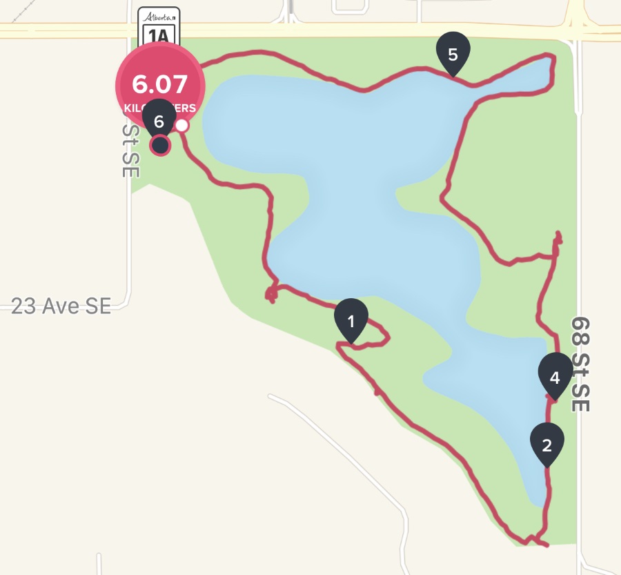 ep_fitbit