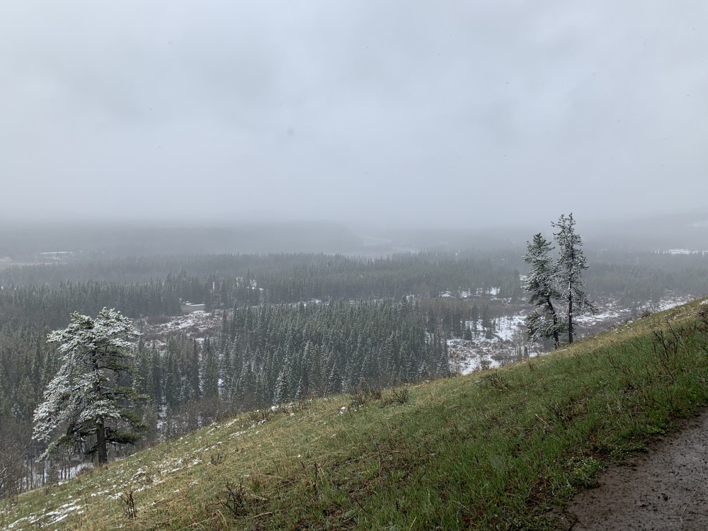 Hiking along Fullerton Loop and Sugar Momma Trail (West of Bragg Creek, AB)
