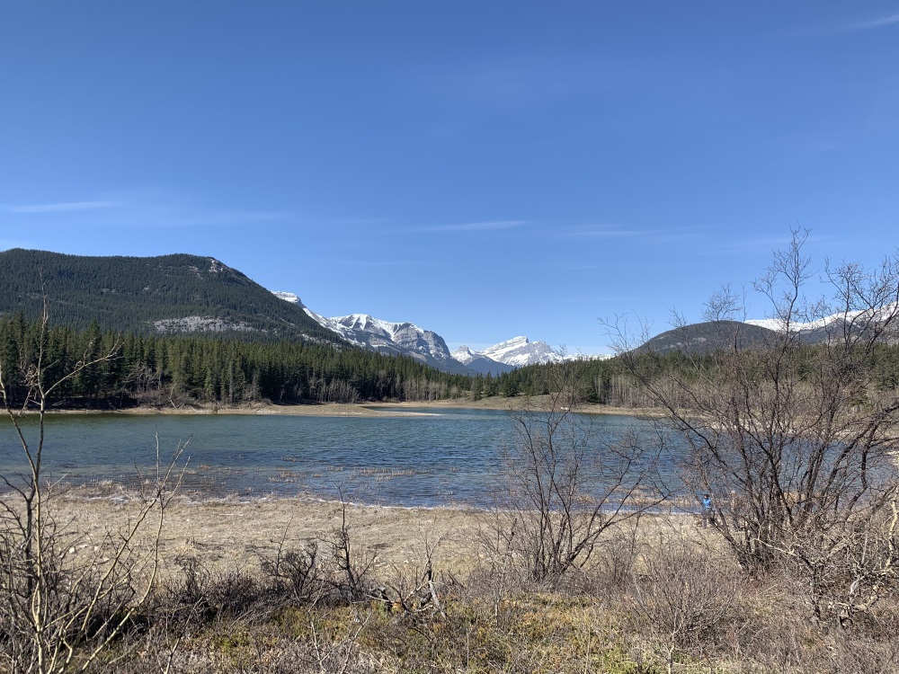 Hiking at Bow Valley Loop Kananaskis