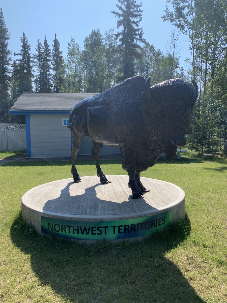 NWT_AB_border_bison