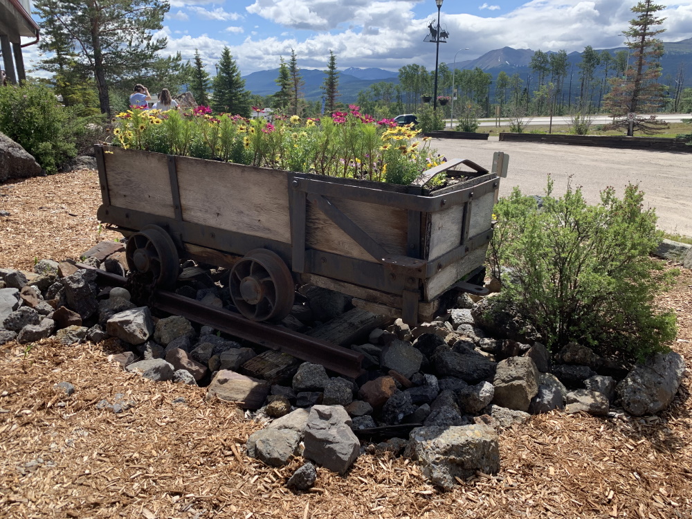 Geocaching in Grande Cache, AB