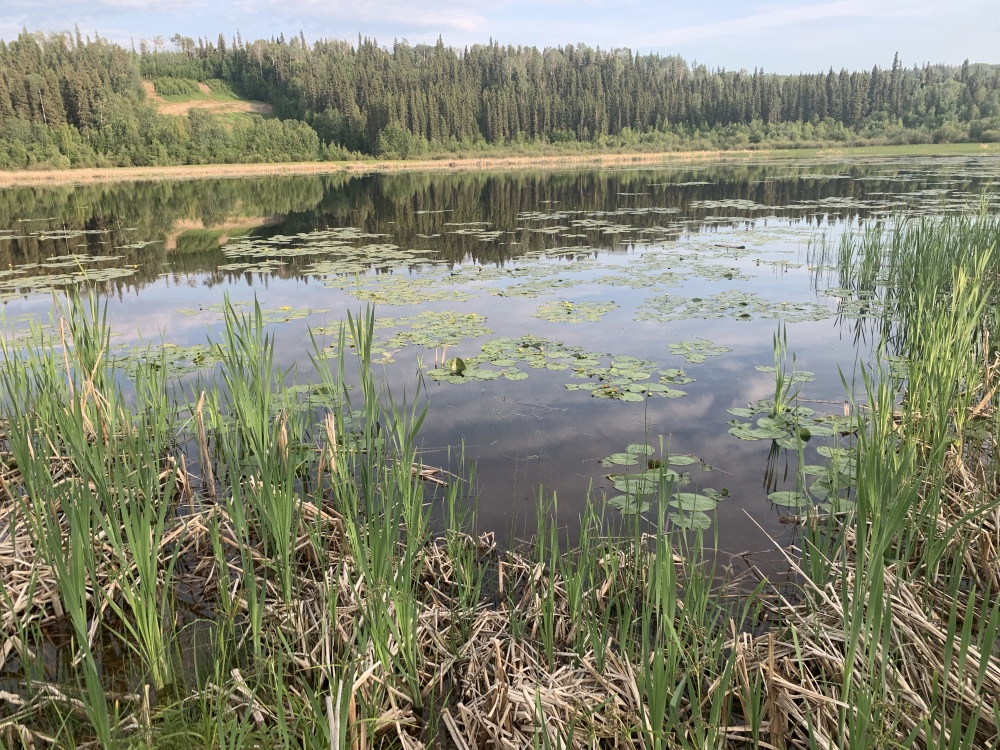 hay_lake_campground5