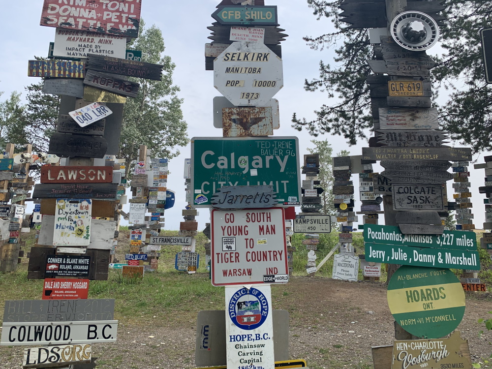 sign_post_forest8
