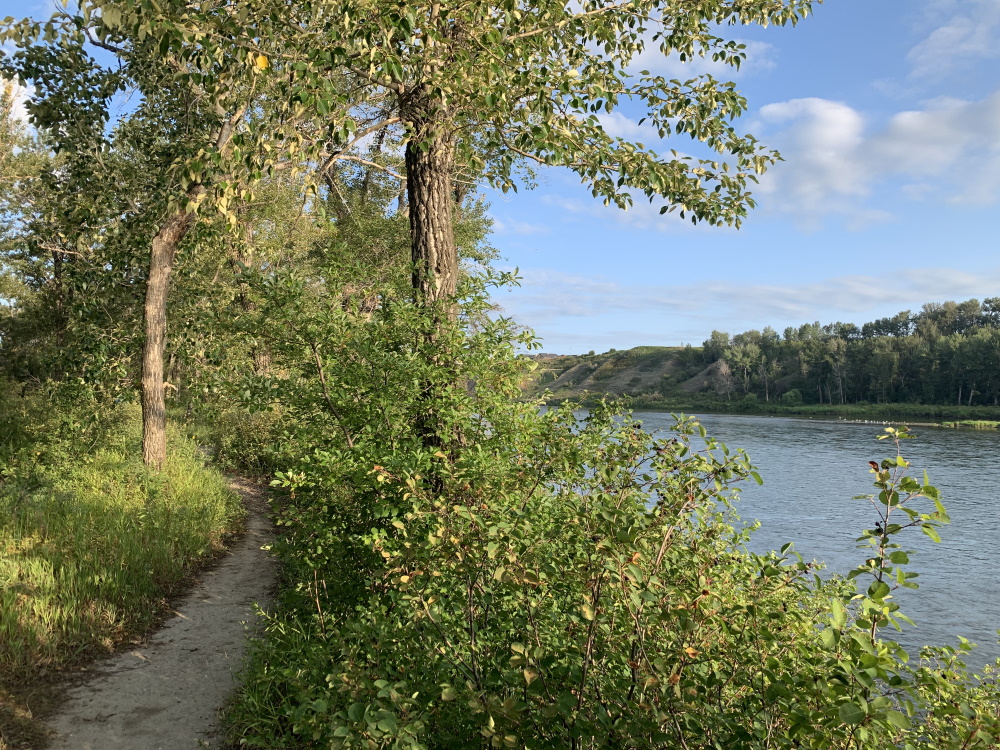 carseland_camping_bow_river2
