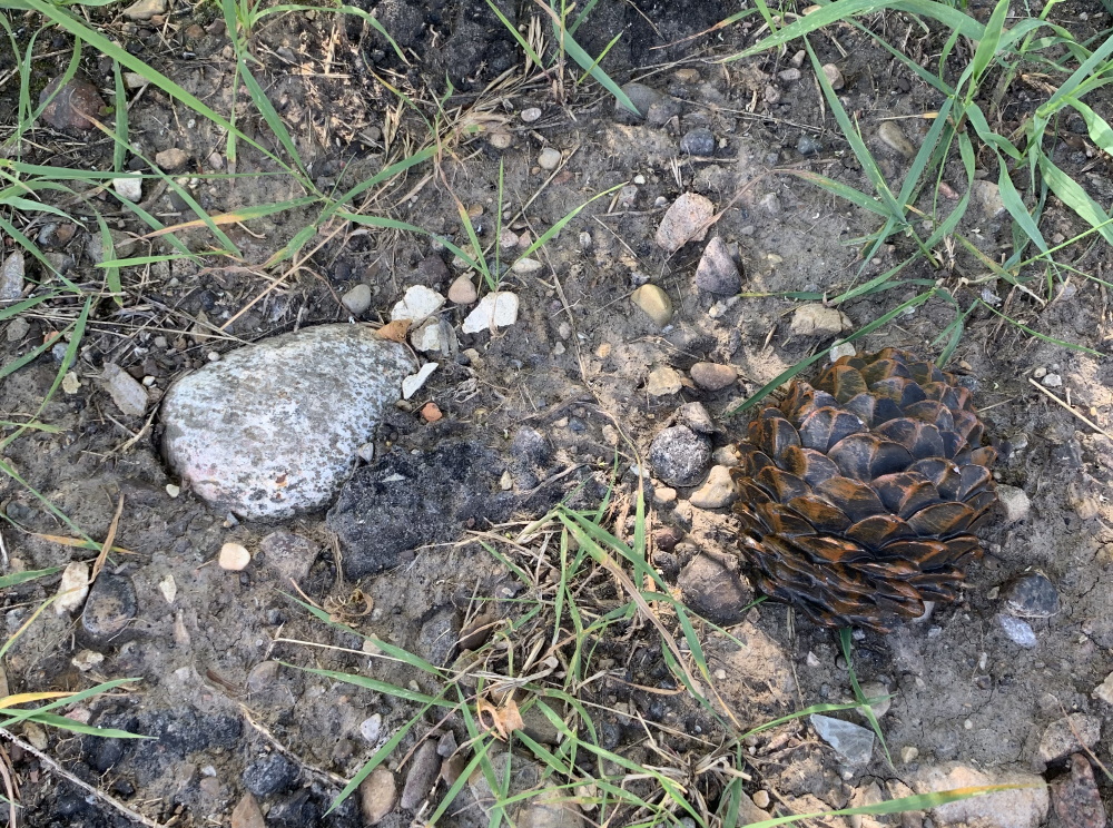drum_geocache5