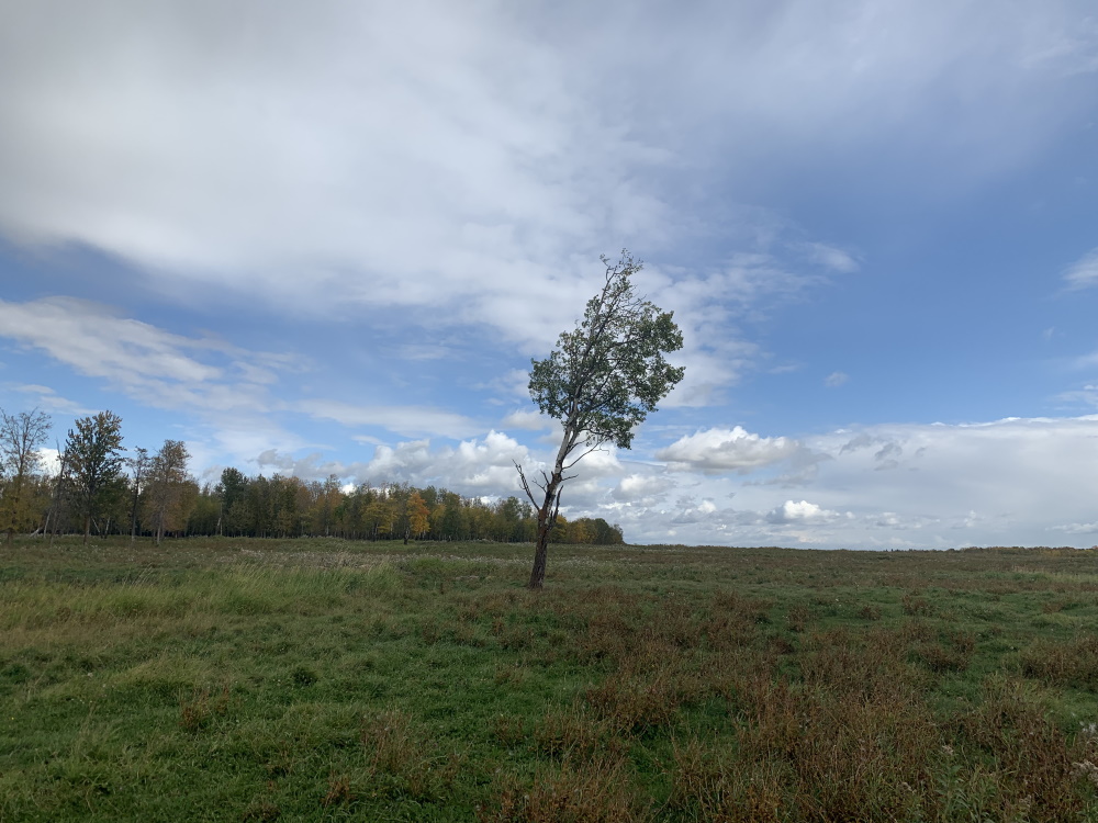 elk_island_caching14
