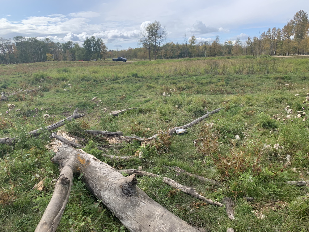 elk_island_caching15