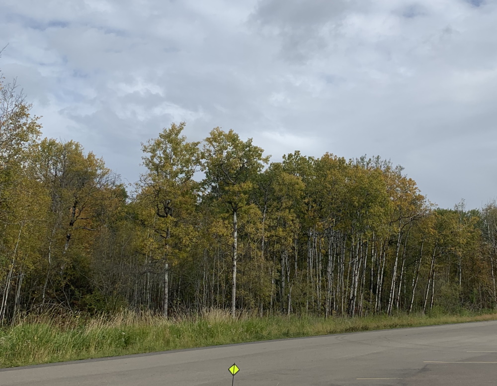 elk_island_caching8