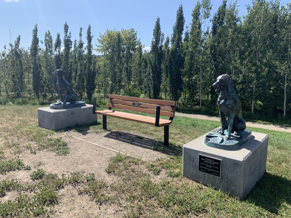 The Dog Days of Summer at Sue Higgins Park