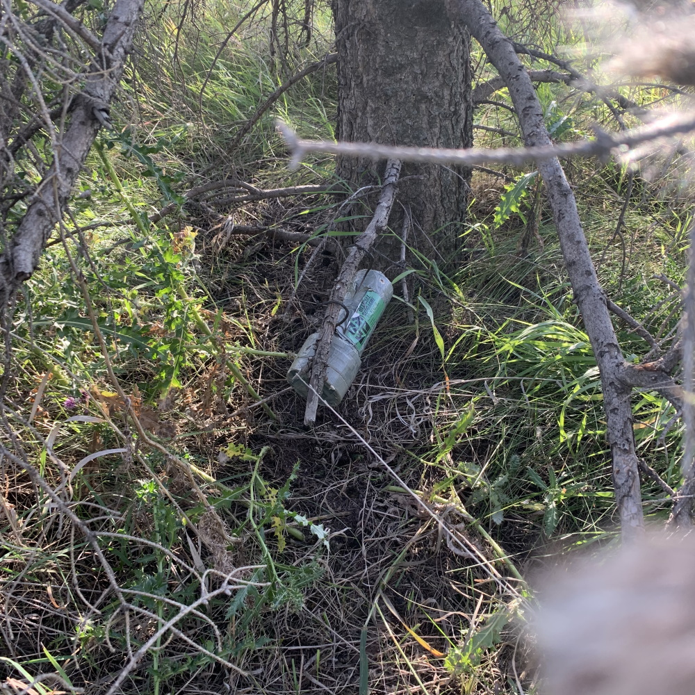 sherwood_park_cache