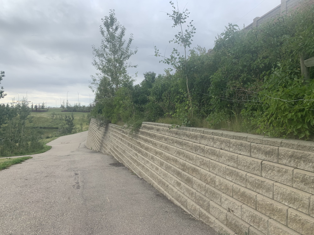 streak_week_aug252019a