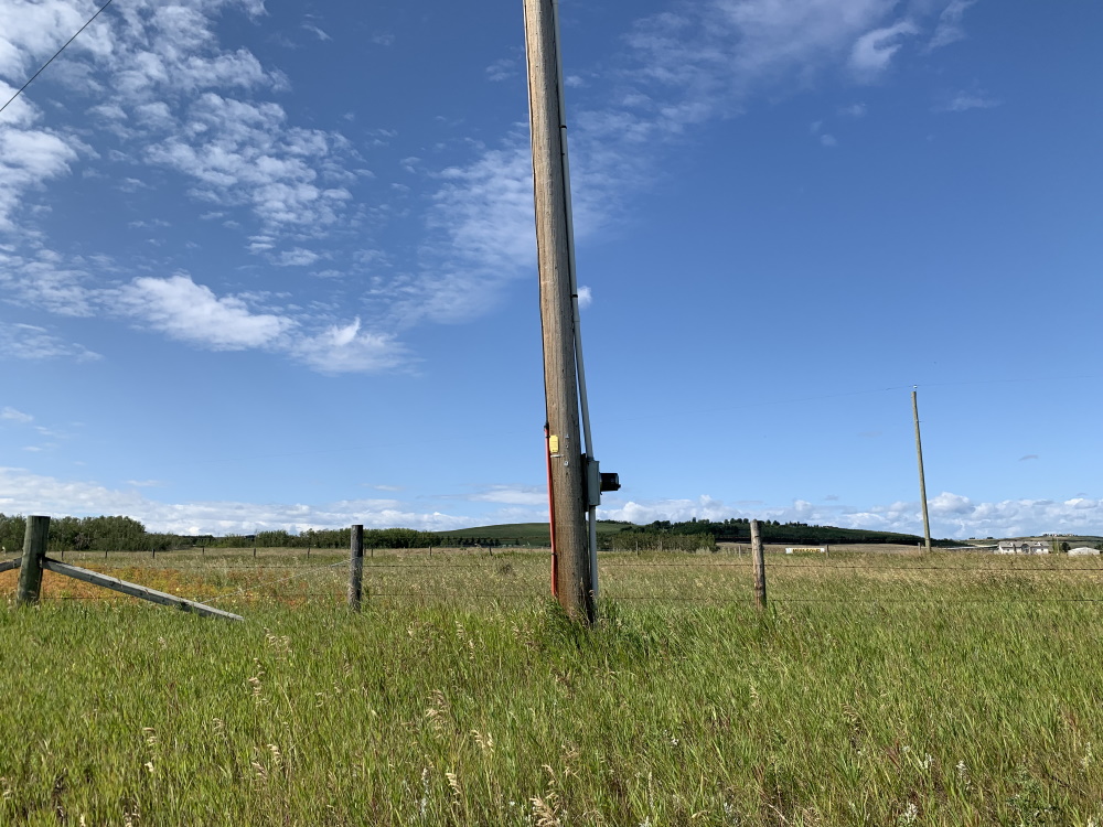 streak_week_aug262019e