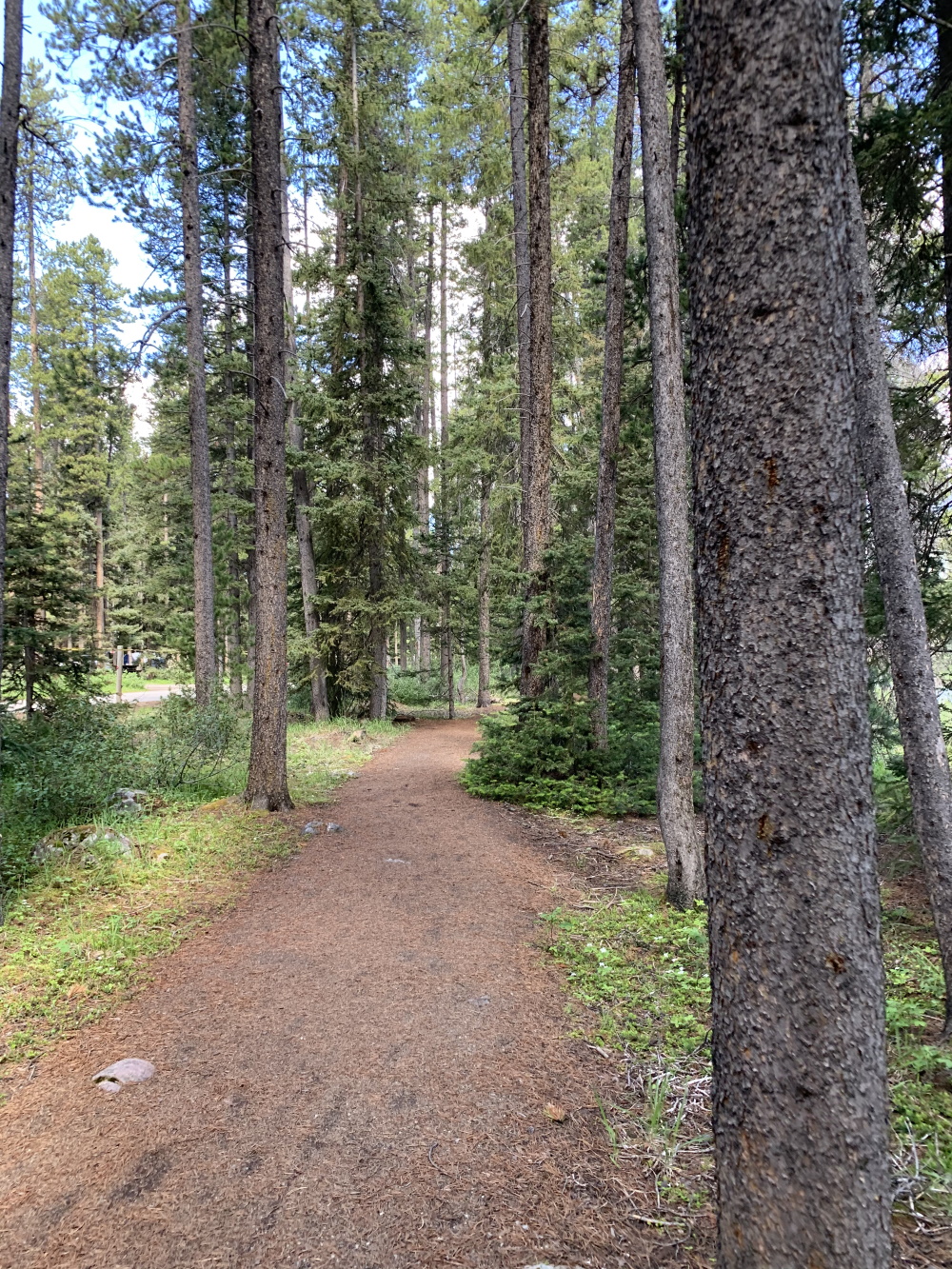 NF5K1