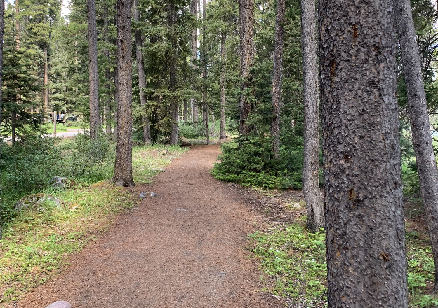 Lake Louise and the Nerd Fitness 5K
