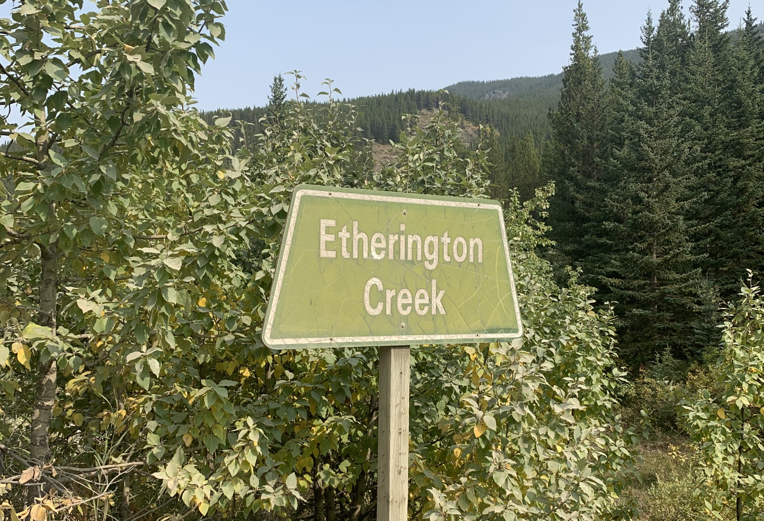 Remote Camping at Etherington Creek