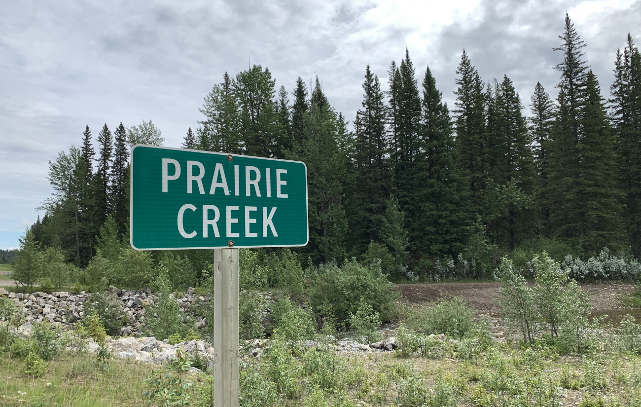 Prairie Creek Shenanigans