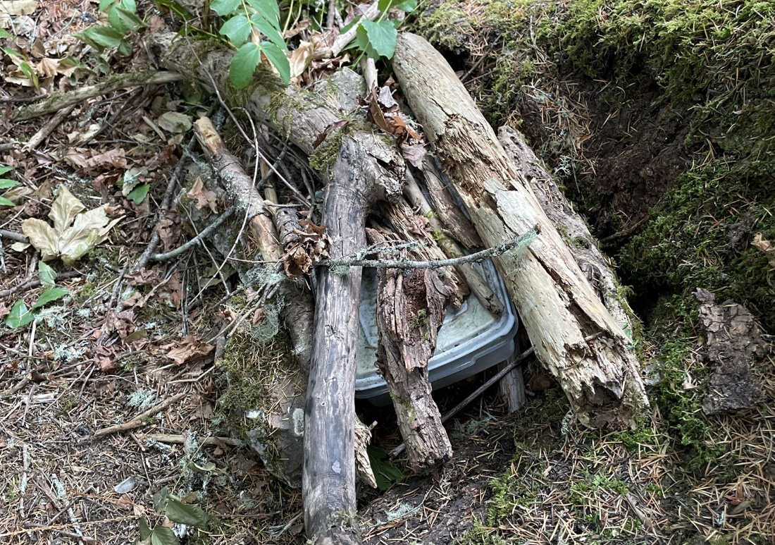 Greater Victoria and Island Caching Success
