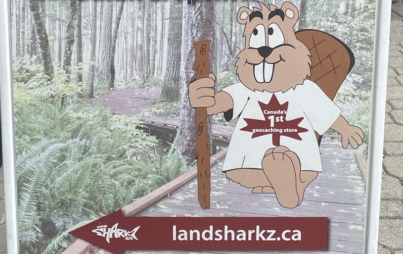 My Landsharkz Experience