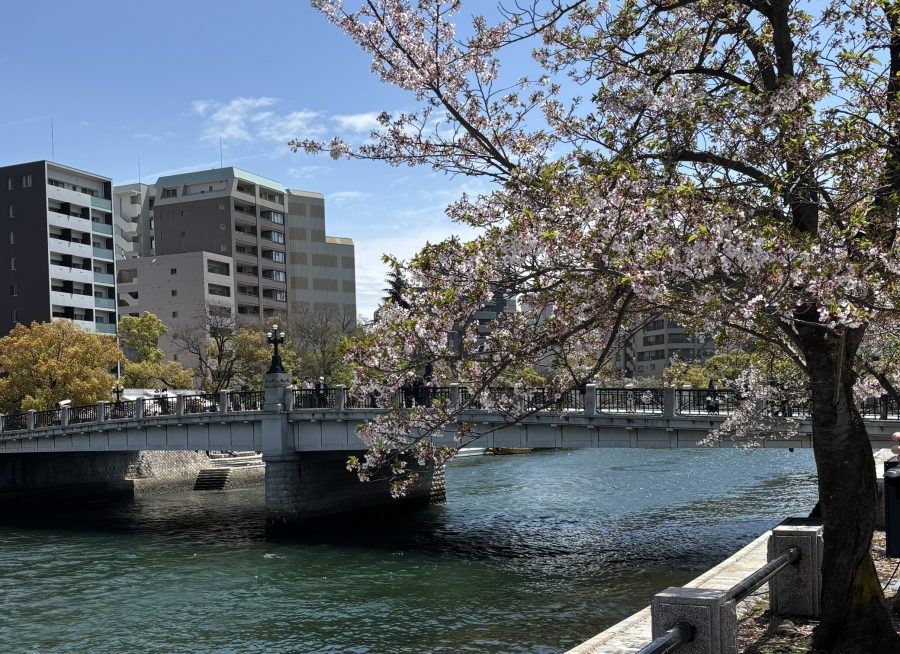 Japan Recap: Fun Facts and Thoughts
